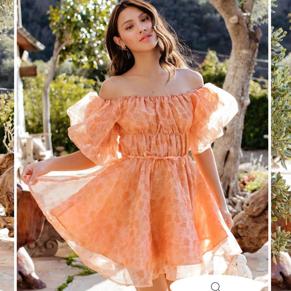 Vici Good Romance organza puff sleeve mini dress